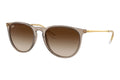 Ray-Ban ERIKA RB4171 - 674413